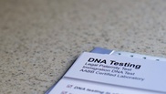 DNA test sheds light on mystery deaths 