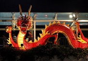 Taiwan births hit nine-year high in Year of Dragon 
