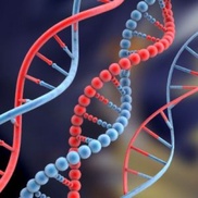 Gene study settles debate over origin of European Jews 