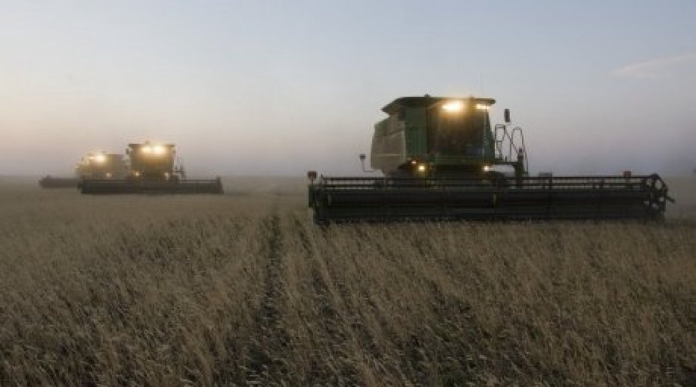 Kazakhstan will sow less grain in 2013