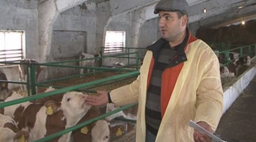 Hazardous virus causes extermination of elite cows in north Kazakhstan