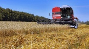Kazakhstan to export 7 million tons of grain in 2013