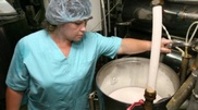 Kazakhstan Food Academy denies harmfulness of sodium benzoate in Kazakhstan milk