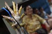 China reports year's second fatal case of bird flu 
