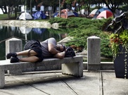 Lack of sleep leads to groggy genes: study 
