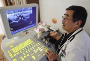Japan riled by WHO's Fukushima cancer warning 