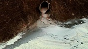 FoodMaster accused of polluting river with silfuric acid