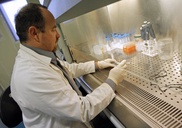 Daily-dose HIV prevention fails for African women: study 