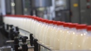 Increasing import duties will not save our milk producers: Kazakhstan Consumers League
