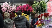 3 million flowers delivered to Almaty for March 8