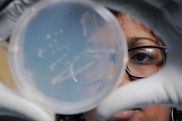 'Underground Galapagos' excites scientists 