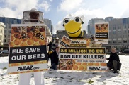 US regulators under fire over bee-toxic pesticides 