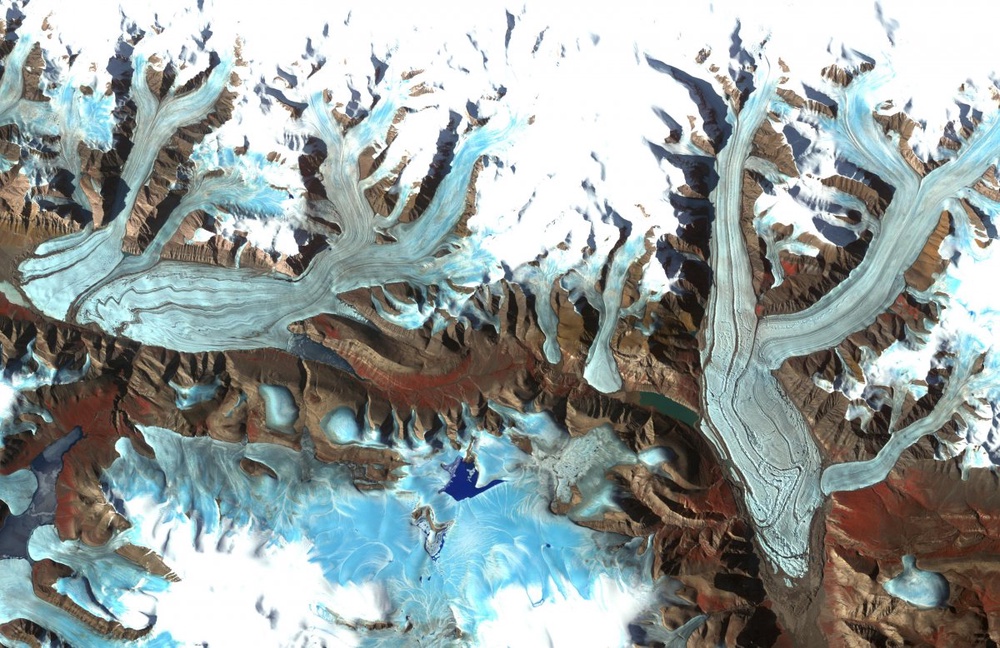 Arctic 'greening' seen through global warming 