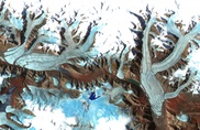 Arctic 'greening' seen through global warming 