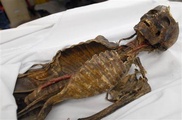 Japan woman put skeleton brother in trash: police 