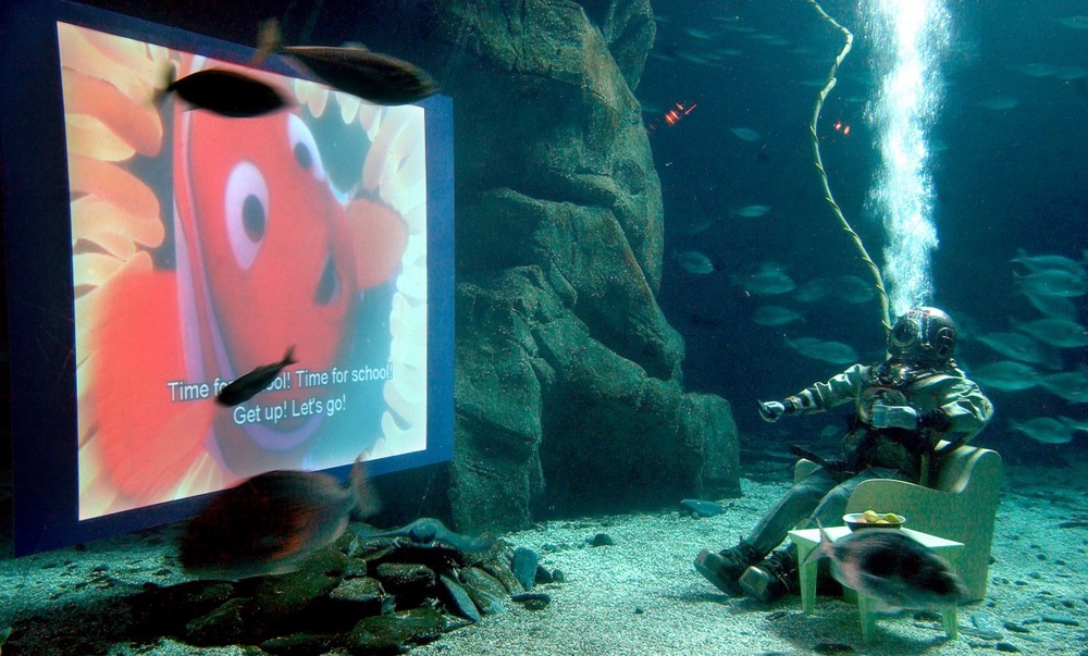 'Finding Nemo' sequel set for November 2015