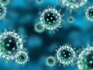 Canadian scientists charged with smuggling germs 