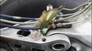 Garbage dump near Almaty airport endangers air traffic