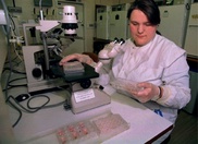 US studies find genetic links in aggressive cancers 