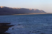 Rising sea levels threaten migratory birds - study 