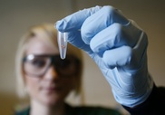Gene clues for testicular cancer, heart defect 
