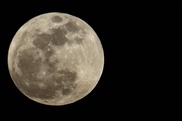 Moon may harbour alien minerals: study 