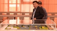 Biofuel from bulrush to be produced in Atyrau