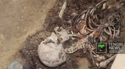 Beheaded skeleton discovered next to Saka princess's tomb