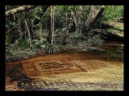 Lost medieval city found in Cambodia: report 