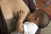 Breast is best for getting ahead: study 