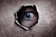 Everybody spies on everybody: ex-intel officers 