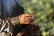 Nearly six million die from smoking every year: WHO 