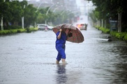 Habitat loss doubles coastal flood impact - study