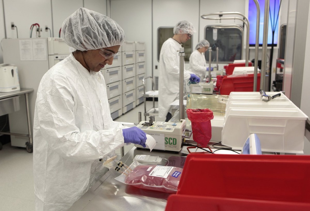 Japan govt approves stem cell clinical trials 
