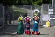 Jailed Pussy Riot punk asks again for parole