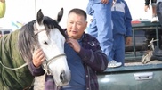 Adai horse wins race in Moscow