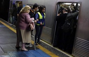 Light cast on NY subway's dead shark mystery 