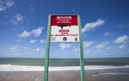 German woman has arm bitten off in Hawaii shark attack