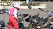 UNICEF advises Kazakhstan to add iodine and vitamins to flour