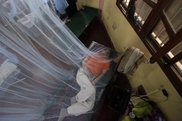 Insecticide-treated bed nets prevent tropical disease: study 