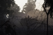 Clashes as Iran exiles claim dozens dead in Iraq raid