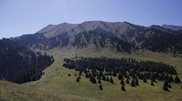 Kok Zhailyau resort to have freeride tracks