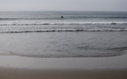Monster tsunami could devastate California: study