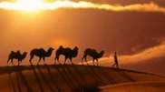 Xi Jinping on restoration of Silk Road