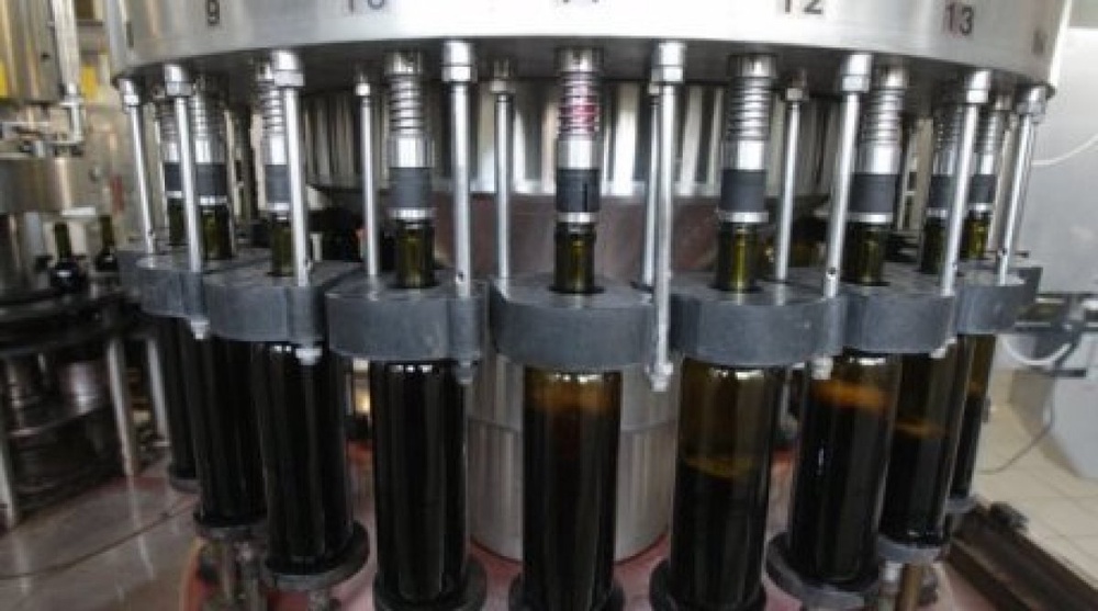 High quality wines to be produced in south Kazakhstan: Nazarbayev