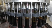 High quality wines to be produced in south Kazakhstan: Nazarbayev