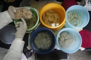 Study suggests brain protein as Alzheimer drug target