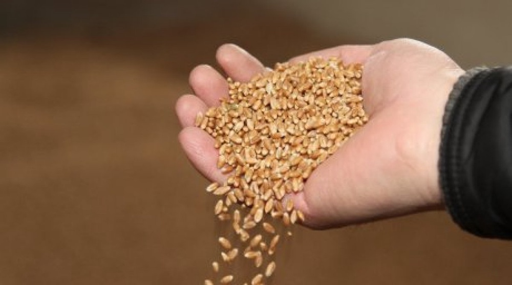 Kazakhstan has excess of mills: Agriculture Minister