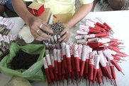 Seven dead in Vietnam firework factory explosion: state media