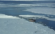 Australia, US, France urge Antarctic protected areas